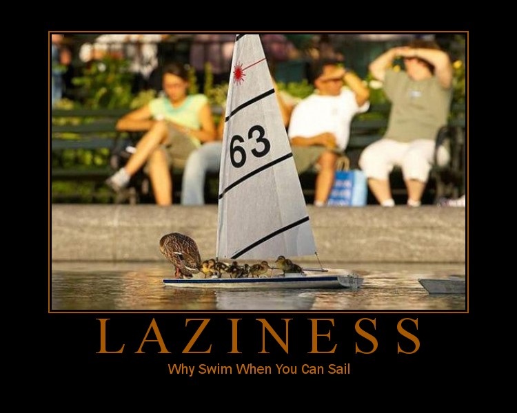 Duckling crew enjoys sailing