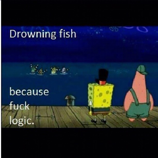 When fish forget how to fish!